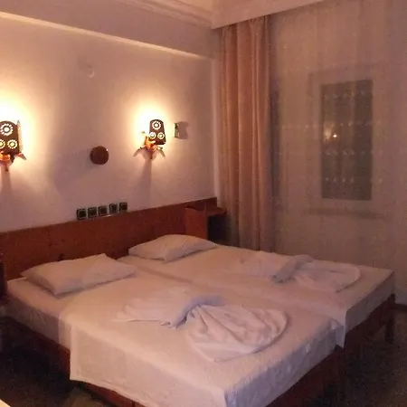 Truva Hotel 3*