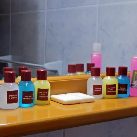 Hotel Truva 3*